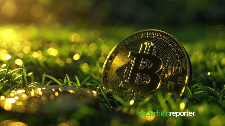 Revisión Diaria del Mercado: BTC, ETH, KAS, RAY, TIA - ¡Descubre las Tendencias del Día! - Cripto Boom