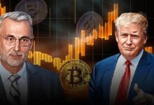 CLO de Ripple Agradece a Trump e Insta a Adoptar Políticas Pro-Cripto: Descubre Más - Cripto Boom