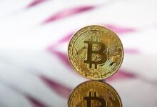 Estados Aceptan Bitcoin: Aumentan Pagos de Impuestos en Criptomonedas - Descubre Más - Cripto Boom