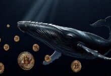 Despertar Financiero: Billetera de Bitcoin de 2012 Mueve $35.7M, Conecta con Transferencias de Ballenas del Mes Pasado - Cripto Boom