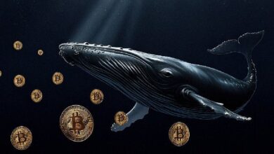 Despertar Financiero: Billetera de Bitcoin de 2012 Mueve $35.7M, Conecta con Transferencias de Ballenas del Mes Pasado - Cripto Boom