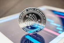 Exclusiva: Fundador de IOTA Revela Visión Sobre el Futuro del Proyecto, Tecnología de Identidad y Listados en Exchanges - Descubre Más Aquí - Cripto Boom