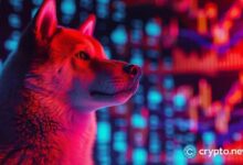 Precio de Shiba Inu se prepara para un gran movimiento ante un aumento del 940% en la tasa de quema: ¡Descubre más! - Cripto Boom