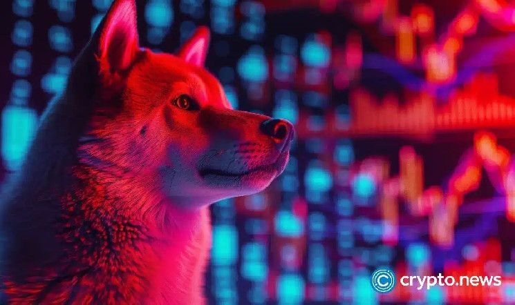 Precio de Shiba Inu se prepara para un gran movimiento ante un aumento del 940% en la tasa de quema: ¡Descubre más! - Cripto Boom