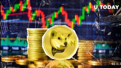 NEIRO, el Rival de Shiba Inu, Aumenta Más del 18% Tras su Inclusión en Coinbase - ¡Descubre Más! - Cripto Boom