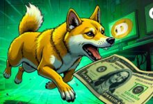 DOGE y SOL Encabezan la Tendencia Alcista Cripto con Ganancias Récord: ¡Descubre Más! - Cripto Boom