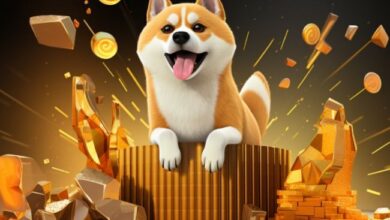 ¿Puede el Precio de Dogecoin Alcanzar $1 a Fin de Año? Descubre lo que Dicen los Niveles de Fibonacci - Cripto Boom