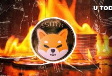 ¡Shiba Inu se Dispara un 6,153% en Quemas Semanales! Descubre Cuánto SHIB Fue Quemado - Cripto Boom