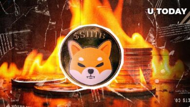 ¡Shiba Inu se Dispara un 6,153% en Quemas Semanales! Descubre Cuánto SHIB Fue Quemado - Cripto Boom