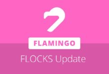 Flamingo se prepara para el lanzamiento de FLOCKS con ajustes en la migración de FLUND: ¡Descubre las novedades! - Cripto Boom