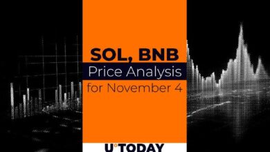 Predicción de Precio de SOL y BNB para el 4 de Noviembre: Descubre las Tendencias - Cripto Boom