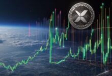 El Precio de XRP Aumenta Rápidamente: ¿Podría el Salto Llegar a $0.80? ¡Descúbrelo! - Cripto Boom