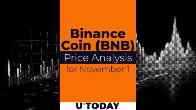 Predicción de Precio de Binance Coin (BNB) para el 1 de Noviembre: ¡Descubre el Futuro del Cripto! - Cripto Boom