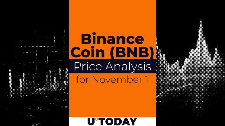 Predicción de Precio de Binance Coin (BNB) para el 1 de Noviembre: ¡Descubre el Futuro del Cripto! - Cripto Boom