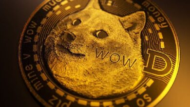 Dogecoin Podría Superar 'Con Creces' su Récord Histórico: Análisis - ¡Descubre las Proyecciones! - Cripto Boom