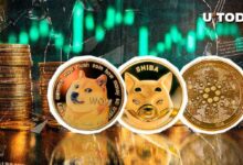 Dogecoin, Shiba Inu y Cardano Podrían Despegar en 2025. ¡Descubre por Qué! - Cripto Boom