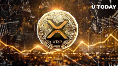 XRP se dispara un 82% en una semana: ¡Descubre por qué un Mega Cruce Dorado señala un gran breakout! - Cripto Boom