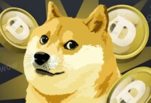 Dogecoin Se Forma Un ‘Triple Techo Preocupante’: Analista Revela Qué Sigue - Descúbrelo Aquí - Cripto Boom