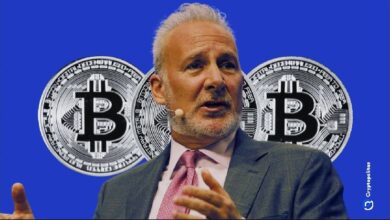 Peter Schiff: "Claramente desearía haber comprado Bitcoin - Descubre por qué ahora" - Cripto Boom