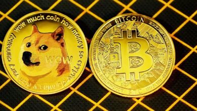 El Fundador de BitMEX Arthur Hayes Revela Predicciones de Precio para Bitcoin y Dogecoin en 2025: ¡Descubre Más! - Cripto Boom