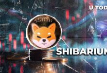 Lanzamiento Crucial de Shibarium Mientras SHIB Gana Protagonismo: ¡Descúbrelo Ahora! - Cripto Boom