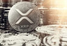 XRP Atrae a Inversores Importantes con el Cambio de Dinámicas del Mercado en 2024: ¡Descubre Más! - Cripto Boom