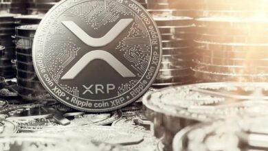 XRP Atrae a Inversores Importantes con el Cambio de Dinámicas del Mercado en 2024: ¡Descubre Más! - Cripto Boom