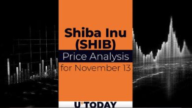 Predicción del Precio de SHIB para el 13 de Noviembre: ¡Descubre las Tendencias! - Cripto Boom