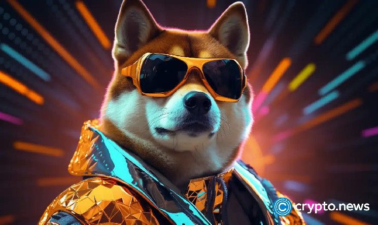 ¡El precio de Shiba Inu podría dispararse un 90% a medida que aumenta la tasa de quema! - Cripto Boom