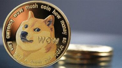 Predicciones Dogecoin, Dogelon Mars: ¿Cuál es el futuro de DOGE, ELON? ¡Descúbrelo aquí! - Cripto Boom