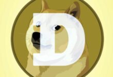 ¡Dogecoin gana terreno en los países nórdicos con la introducción de su primer ETP! - Cripto Boom