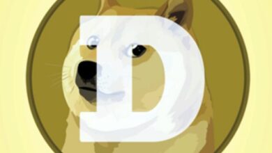 ¡Dogecoin gana terreno en los países nórdicos con la introducción de su primer ETP! - Cripto Boom