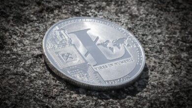 Pronóstico del precio de Litecoin: Ballenas invierten $950M en racha de compras de 73 días ante rumores de aprobación de ETF de LTC ¡Descubre más! - Cripto Boom