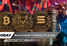 Bitcoin (BTC) Alcanza un Nivel Crucial de Precio: Descubre por Qué Shiba Inu (SHIB) Se Mueve como un Caracol, Solana (SOL) Impulsa a $300 con Afluencia de Billones en Volumen - Cripto Boom