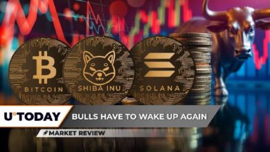 Bitcoin (BTC) Alcanza un Nivel Crucial de Precio: Descubre por Qué Shiba Inu (SHIB) Se Mueve como un Caracol, Solana (SOL) Impulsa a $300 con Afluencia de Billones en Volumen - Cripto Boom