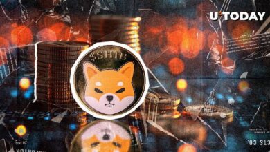 De 6.3 a 2.5 Trillones de Shiba Inu (SHIB) en 24 Horas: ¡Descubre Qué Sucedió! - Cripto Boom