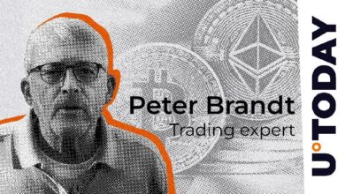 ¿Se Avecina el Fin de Ethereum? Peter Brandt Emite Impactante 'Carta Desde la Tumba' Sobre Bitcoin - Cripto Boom