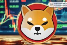 ¡Análisis Sugiere que Bandera Alcista en Gráfico 3D de Shiba Inu Podría Impulsar Subida de Precio del 80-90%! - Cripto Boom