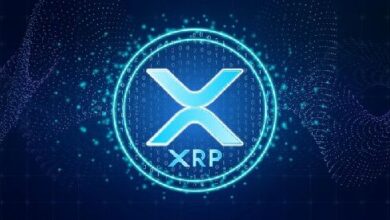 ¿Se Aproxima un Aumento del Precio de XRP? Analista Predice Subida a $8-$30 - Cripto Boom