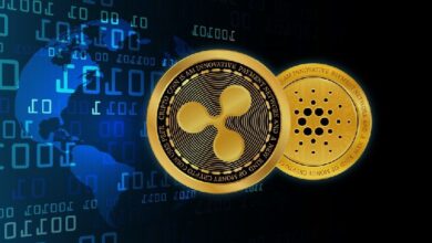 ¿XRP o Cardano? Descubre cuál es la mejor inversión en criptomonedas para 2025 según la IA - Cripto Boom