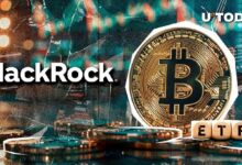 El ETF de Bitcoin de BlackRock Alcanza un Hito Importante: ¡Descubre Más! - Cripto Boom