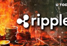 Ripple Quema Sorpresivamente 53 Millones de RLUSD Antes del Lanzamiento de su Moneda Estable: Descubre Más - Cripto Boom