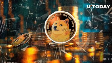 Dogecoin (DOGE) Pierde $150 Pero Sigue Alcista, Descubre Más - Cripto Boom