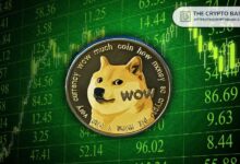 Analista de Bloomberg Revela la Mejor Fecha para Presentar la Solicitud de ETF de Dogecoin: ¡Descúbrelo Ahora! - Cripto Boom