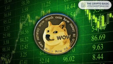 Analista de Bloomberg Revela la Mejor Fecha para Presentar la Solicitud de ETF de Dogecoin: ¡Descúbrelo Ahora! - Cripto Boom