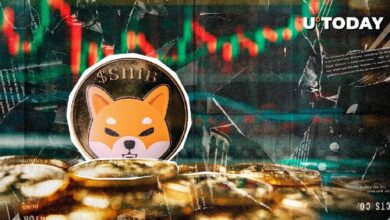 Señal Alcista para Shiba Inu (SHIB): ¡Descubre el Potencial en su Precio sin Volatilidad! - Cripto Boom