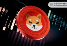 Descubre el Valor de 10M, 50M, 100M Shiba Inu si la Capitalización de SHIB Alcanza los $30 Mil Millones - Cripto Boom