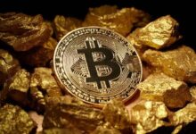 ¿Cómo Puede Subir Bitcoin Mientras el Precio del Oro Cae? ¿Qué Esperan los Analistas? Descubre las Respuestas Aquí - Cripto Boom