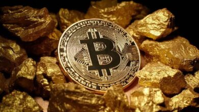 ¿Cómo Puede Subir Bitcoin Mientras el Precio del Oro Cae? ¿Qué Esperan los Analistas? Descubre las Respuestas Aquí - Cripto Boom