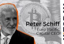 Bitcoin en Reservas de EE.UU. Desencadenaría un Colapso del Mercado: Peter Schiff Explica Cómo y Por Qué Leer Más - Cripto Boom